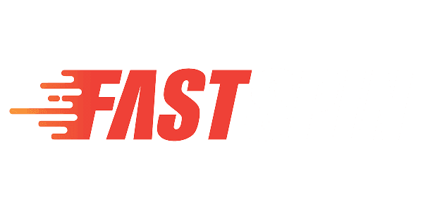 Visa partner logo